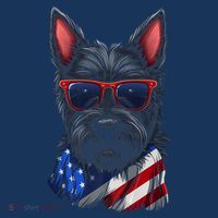 Scottish Terrier American Flag US Tee 4th July Gifts Graphic Tall T-Shirt