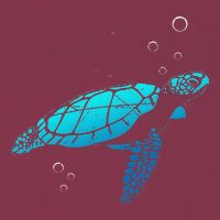 Sea Turtle Animal Zoo Keeper Turtle 16oz Travel Tumbler