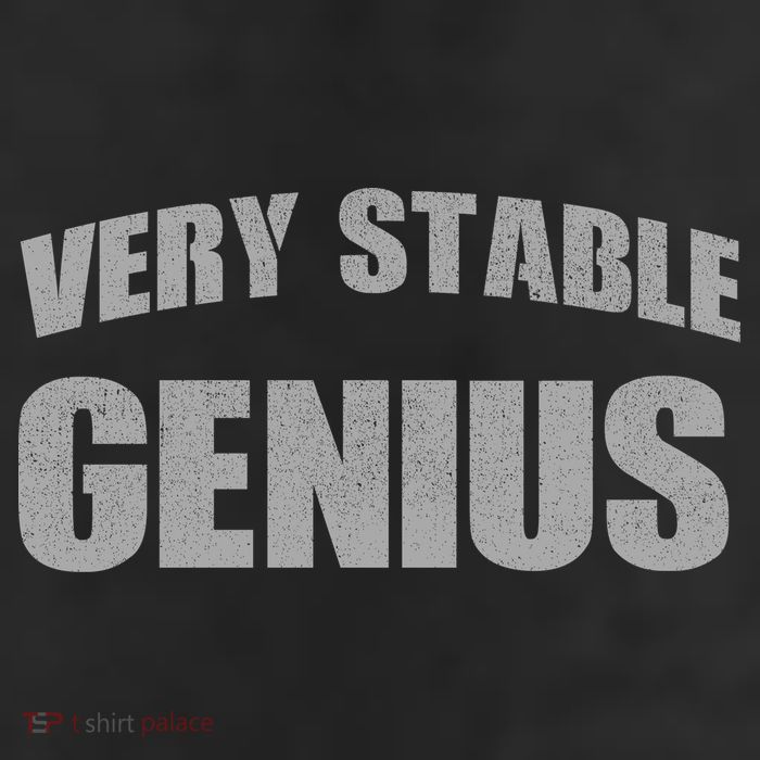 Stable Genius 11oz C Handle Ceramic Mug