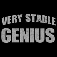 Stable Genius Drawstring Bag