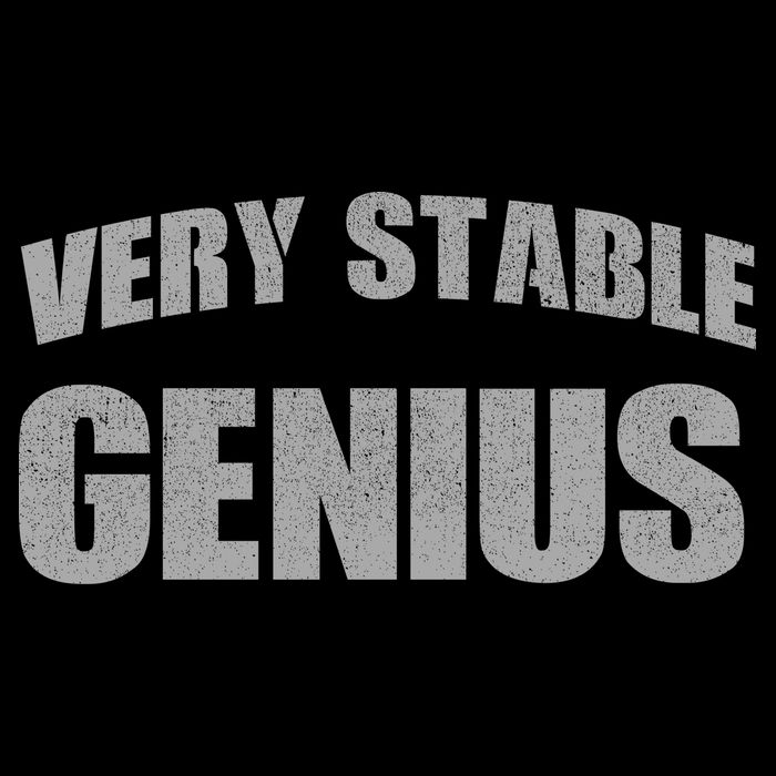 Stable Genius Drawstring Bag
