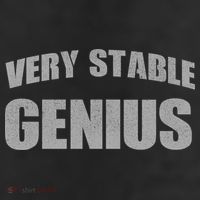 Stable Genius 25L Jumbo Tote