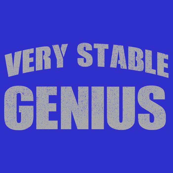 Stable Genius V-Neck T-Shirt