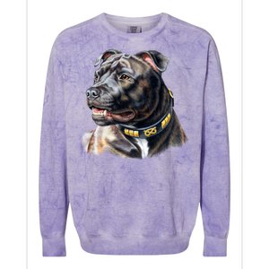 Stafford Bull Terrier Colorblast Crewneck Sweatshirt