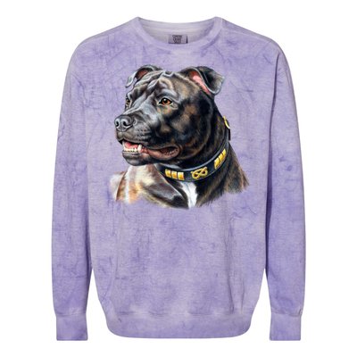 Stafford Bull Terrier Colorblast Crewneck Sweatshirt