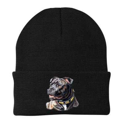 Stafford Bull Terrier Beanie