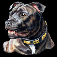 Stafford Bull Terrier 16 in Basic Backpack
