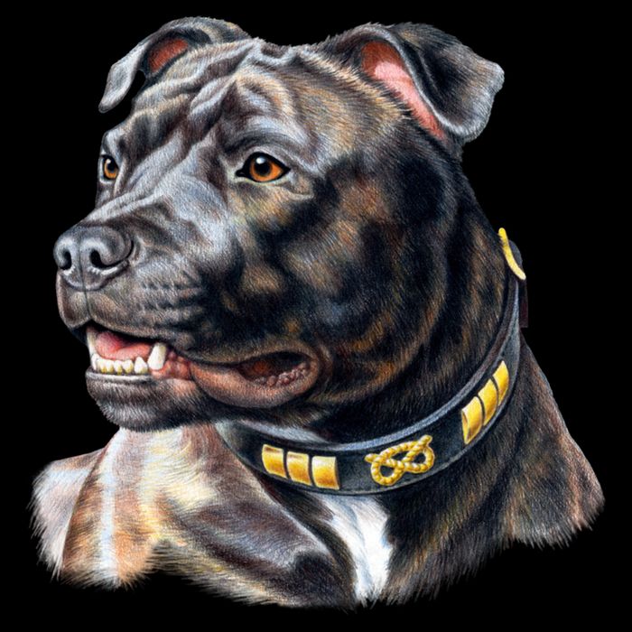 Stafford Bull Terrier 16 in Basic Backpack