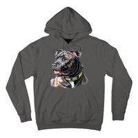 Stafford Bull Terrier Hoodie