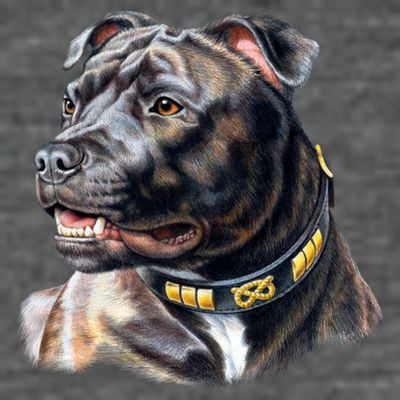 Stafford Bull Terrier T-Shirt