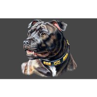 Stafford Bull Terrier Bumper Sticker