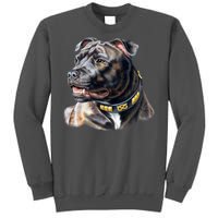 Stafford Bull Terrier Tall Sweatshirt