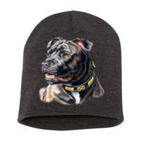 Stafford Bull Terrier Short Acrylic Beanie