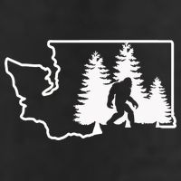 State Of Washington Big Foot Adult Drive Performance Visor