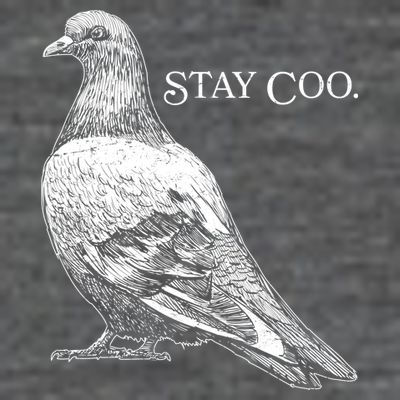 Stay Coo Pigeon T-Shirt