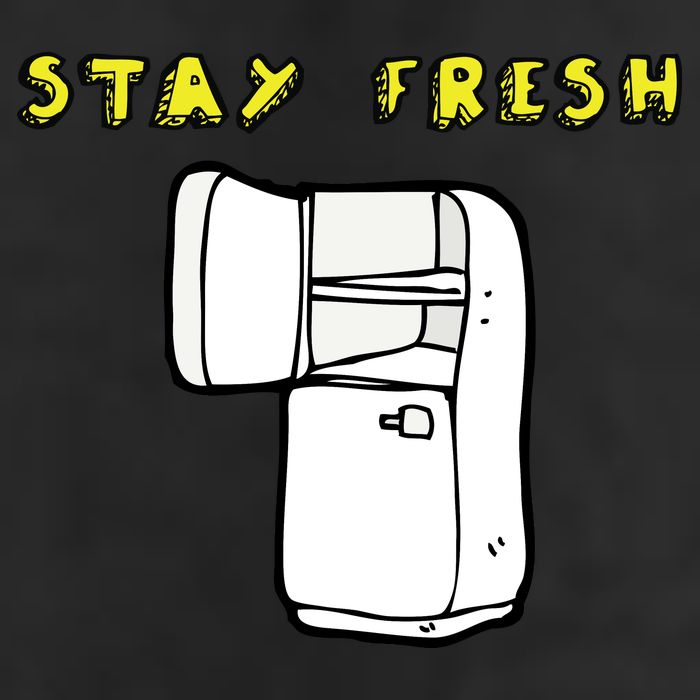 Stay Fresh Adult Drive Performance Visor