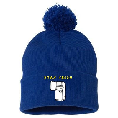 Stay Fresh Pom Pom 12in Knit Beanie