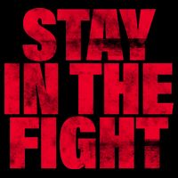 Stay In The Fight Washington D.C. Baseball Fan Button