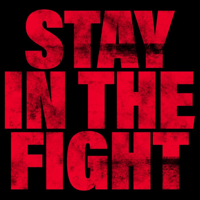 Stay In The Fight Washington D.C. Baseball Fan Button