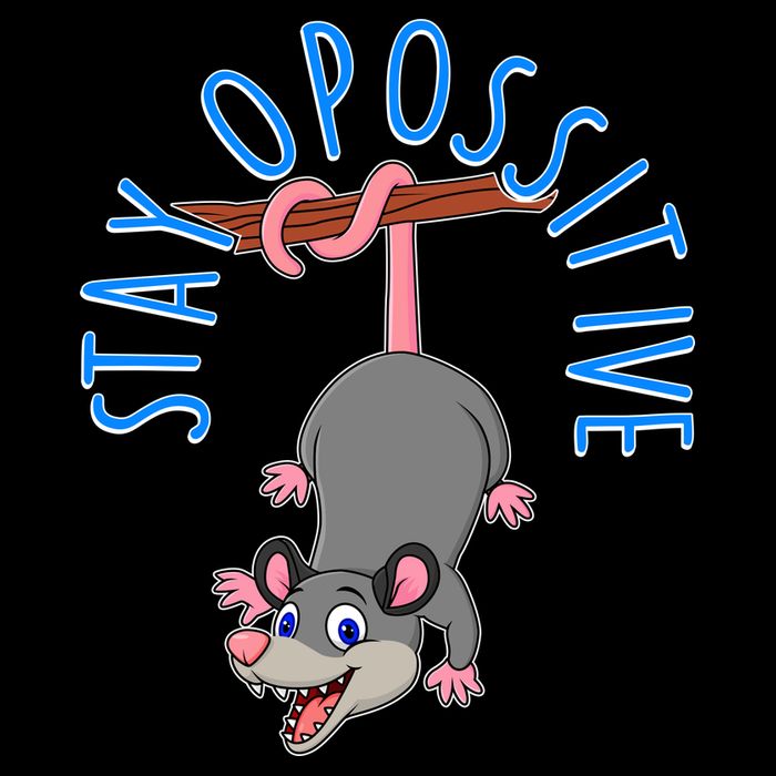 Stay Opossitive Bucket Hat