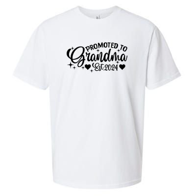 Soon To Be Grandma 2024 Gift Promoted To Grandma Est 2024 Sueded Cloud Jersey T-Shirt