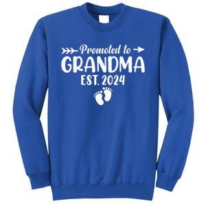 Soon To Be Grandma 2024 Gift Promoted To Grandma Est 2024 Tall Sweatshirt