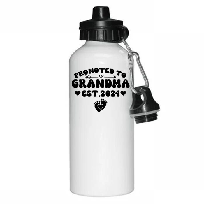 Soon To Be Grandma 2024 Gift Promoted To Grandma Est 2024 Aluminum Water Bottle