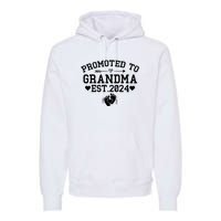 Soon To Be Grandma 2024 Gift Promoted To Grandma Est 2024 Premium Hoodie