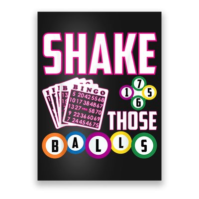 Shake Those Balls Funny Bingo Poster