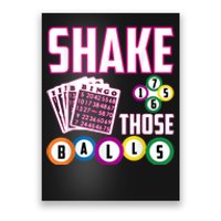 Shake Those Balls Funny Bingo Poster