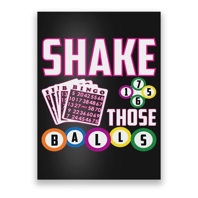 Shake Those Balls Funny Bingo Poster