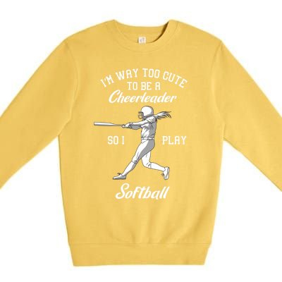 Softball Team Cool Gift Baseball Player Batter Gift Premium Crewneck Sweatshirt