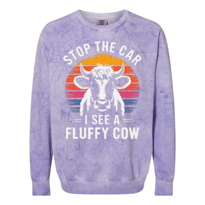 Stop The Car I See Fluffy Cow Retro Highland Cow Lover Funny Colorblast Crewneck Sweatshirt