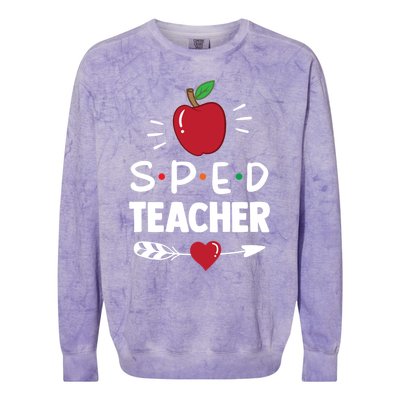 Sped Teacher Cute Awareness Special Education Cute Gift Colorblast Crewneck Sweatshirt