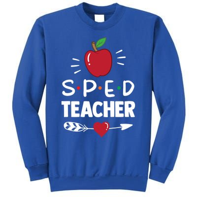 Sped Teacher Cute Awareness Special Education Cute Gift Sweatshirt