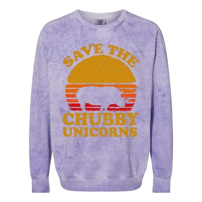 Save The Chubby Unicorns Retro Rhino Gift Colorblast Crewneck Sweatshirt