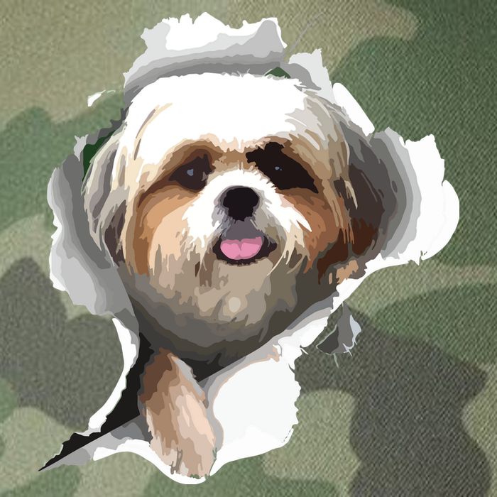 Shih Tzu Cute Shih Tzu Dog Shih Tzu Owner Shih Tzu Legacy Tie Dye Trucker Hat