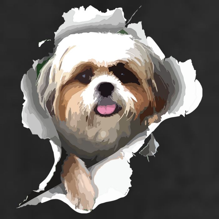 Shih Tzu Cute Shih Tzu Dog Shih Tzu Owner Shih Tzu Adult Drive Performance Visor