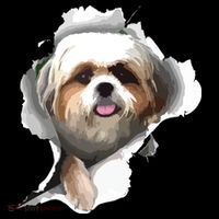 Shih Tzu Cute Shih Tzu Dog Shih Tzu Owner Shih Tzu Drawstring Bag