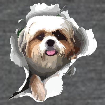 Shih Tzu Cute Shih Tzu Dog Shih Tzu Owner Shih Tzu T-Shirt