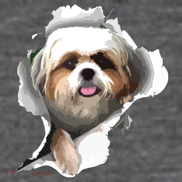 Shih Tzu Cute Shih Tzu Dog Shih Tzu Owner Shih Tzu Button