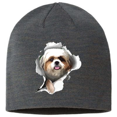 Shih Tzu Cute Shih Tzu Dog Shih Tzu Owner Shih Tzu Sustainable Beanie