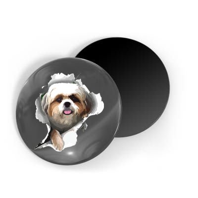 Shih Tzu Cute Shih Tzu Dog Shih Tzu Owner Shih Tzu Magnet