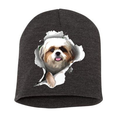 Shih Tzu Cute Shih Tzu Dog Shih Tzu Owner Shih Tzu Short Acrylic Beanie