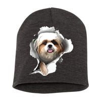 Shih Tzu Cute Shih Tzu Dog Shih Tzu Owner Shih Tzu Short Acrylic Beanie