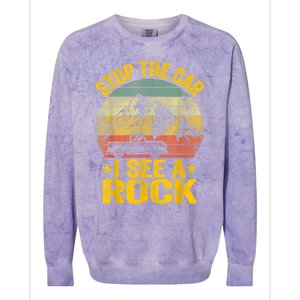 Stop The Car I See A Rock Collector Geology Funny Geologist Colorblast Crewneck Sweatshirt