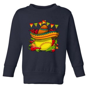 Softball Team Cinco De Mayo Tacos And Softball Toddler Sweatshirt