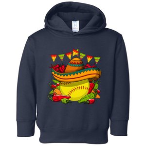 Softball Team Cinco De Mayo Tacos And Softball Toddler Hoodie