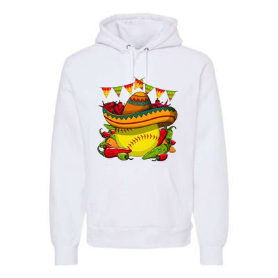 Softball Team Cinco De Mayo Tacos And Softball Premium Hoodie