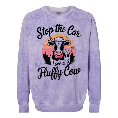 Stop The Car I See Fluffy Cow Retro Highland Cow Lover Funny Colorblast Crewneck Sweatshirt